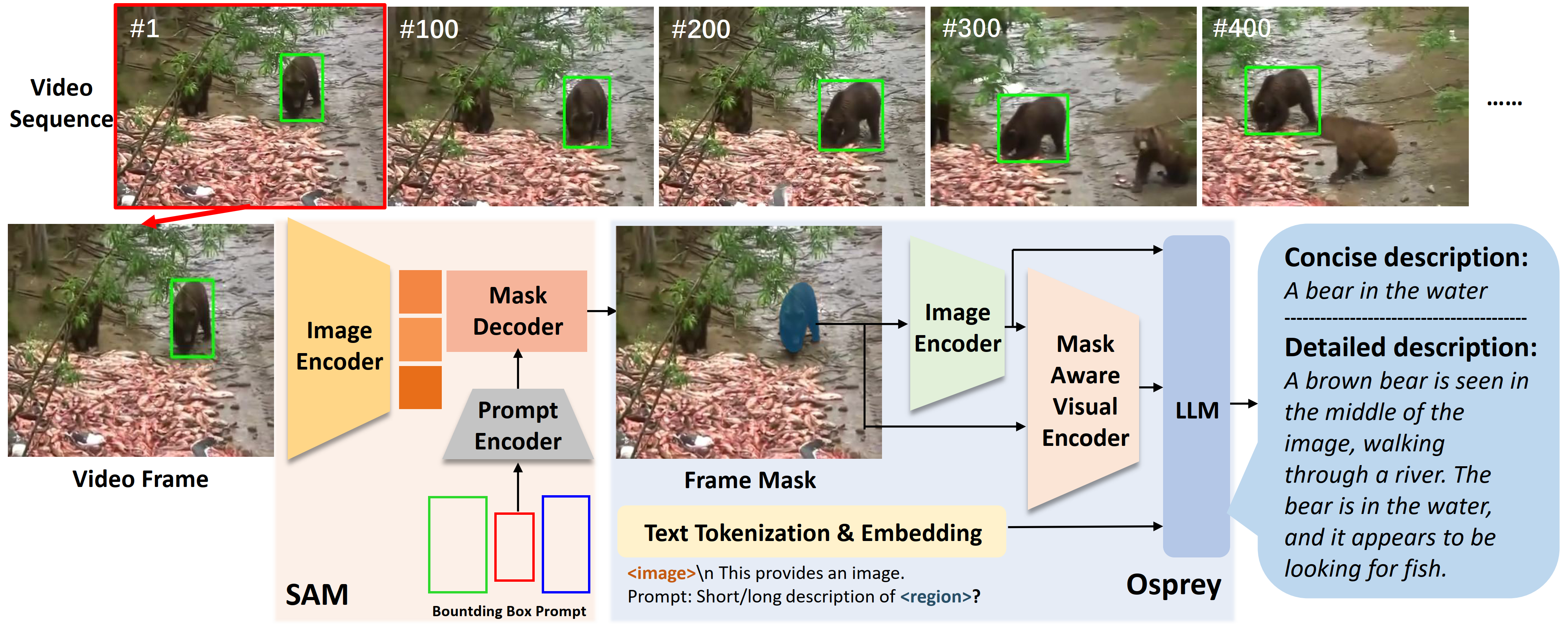 example annotations