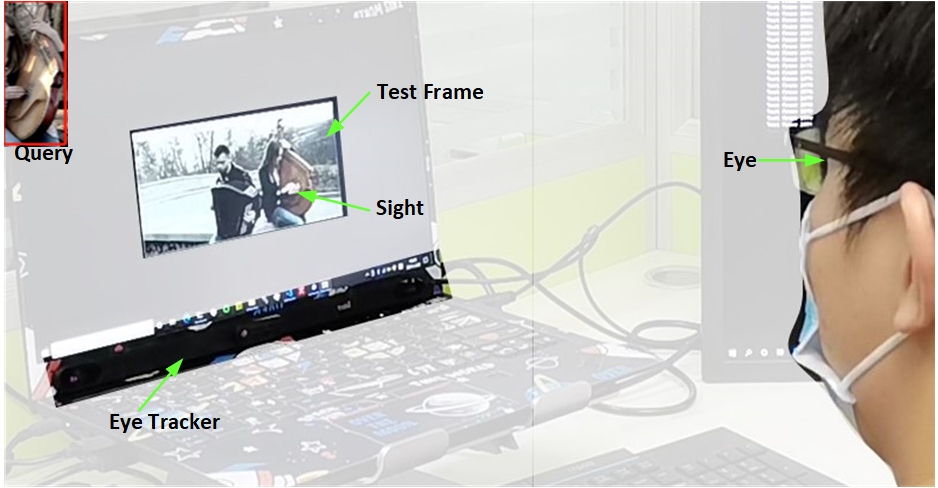 Eye tracking + eye trackers