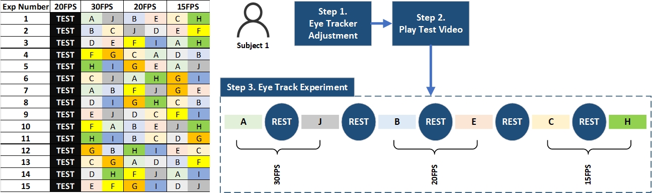 eye experiment process